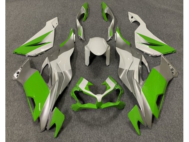 Best Gloss Green White and Silver Kawasaki ZX6R Motorcycle Fairings 2019-2020 Best Gloss Green White and Silver Kawasaki ZX6R Motorcycle Fairings 2019-2020