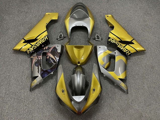Best Gold and Silver Kawasaki ZX6R Motorcycle Fairings 2005-2006 Best Gold and Silver Kawasaki ZX6R Motorcycle Fairings 2005-2006