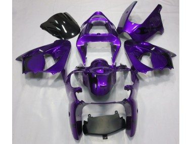 Best Metallic Purple Kawasaki ZX6R Motorcycle Fairings 2000-2002