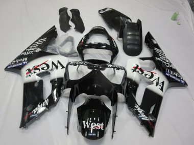Best West Kawasaki ZX6R Motorcycle Fairings 2003-2004
